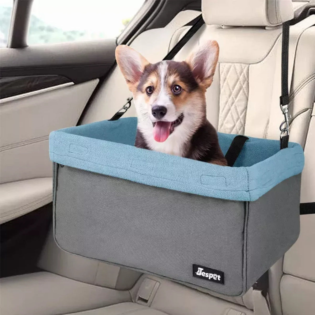 Elevated Dog Car Booster Seat with Safety Leash
