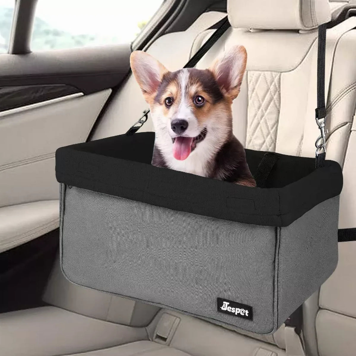 Elevated Dog Car Booster Seat with Safety Leash