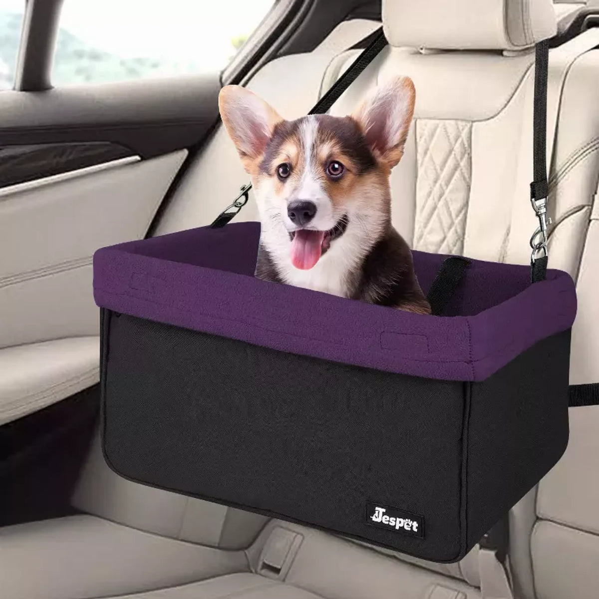 Elevated Dog Car Booster Seat with Safety Leash