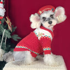 Santa Hat & Sweater for Dogs & Cats