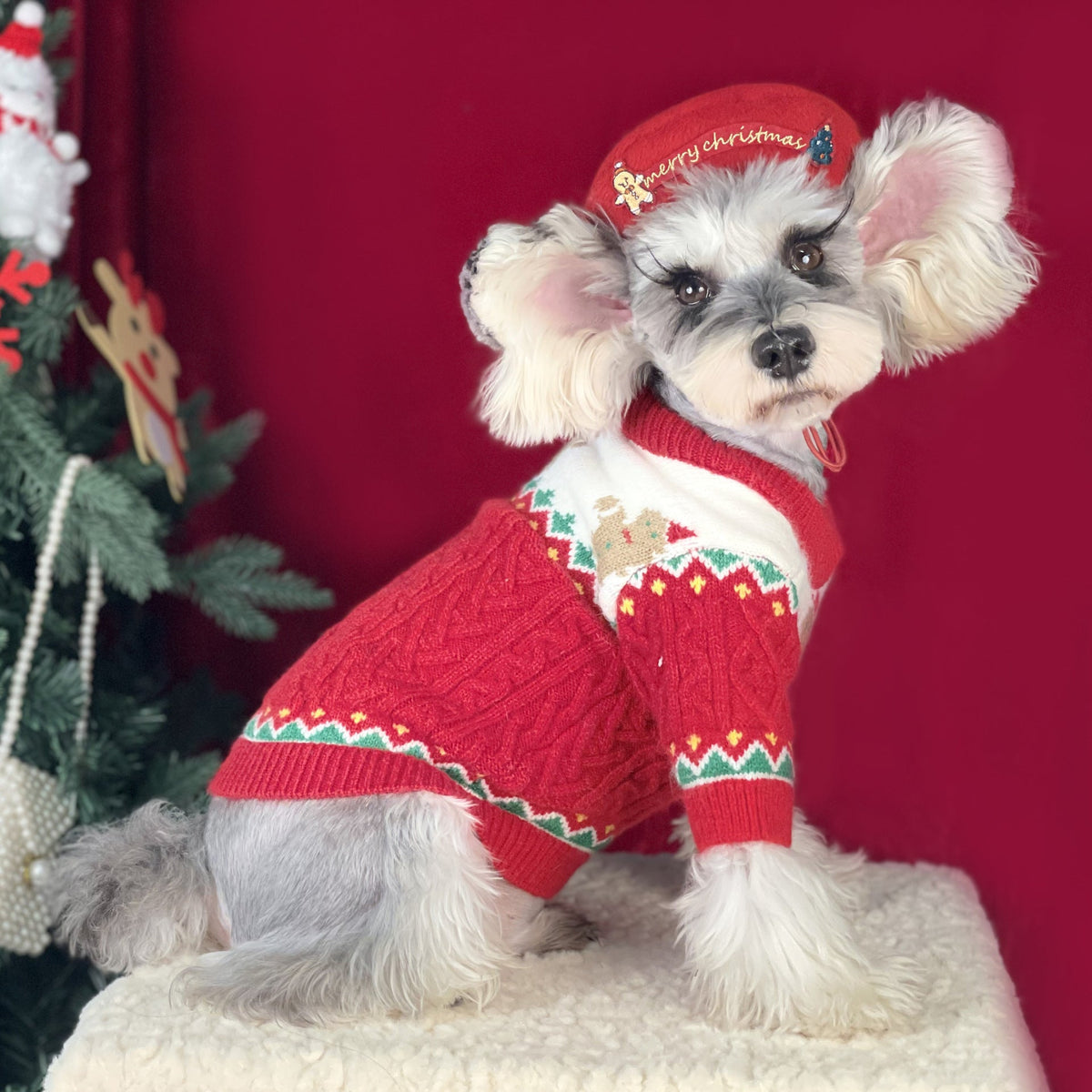 Santa Hat & Sweater for Dogs & Cats