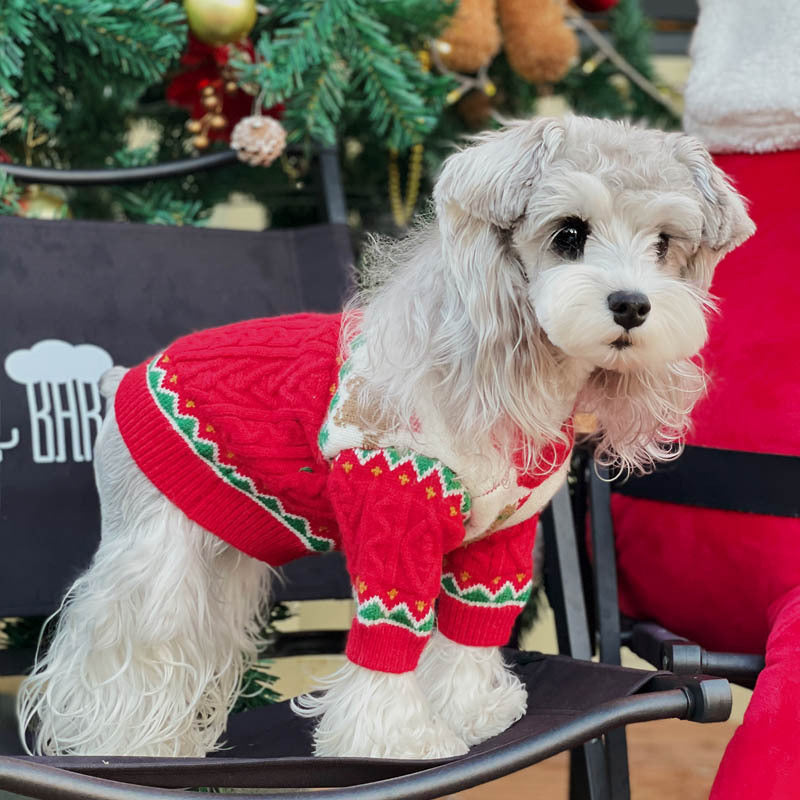 Santa Hat & Sweater for Dogs & Cats