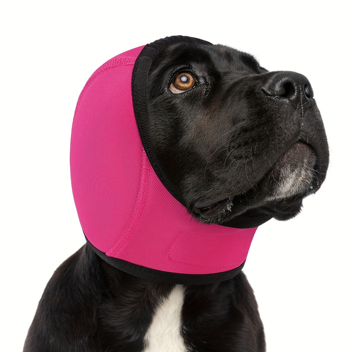 Quiet Ears Hood — Calming Wrap for Anxious Dogs