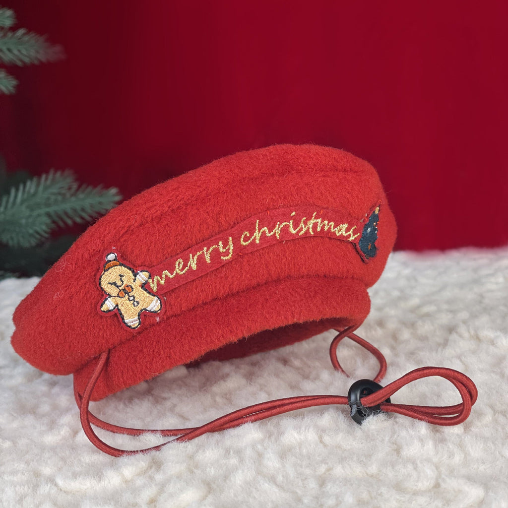 Santa Hat & Sweater for Dogs & Cats