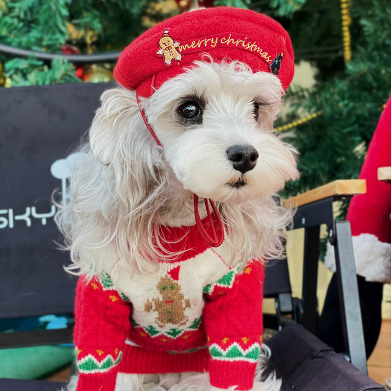 Santa Hat & Sweater for Dogs & Cats