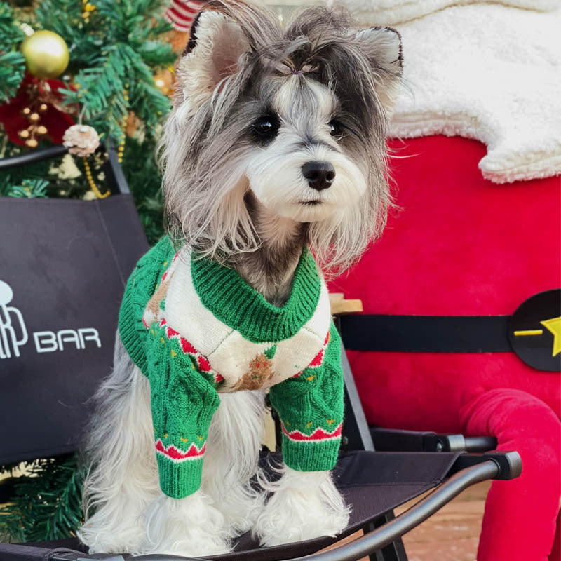 Santa Hat & Sweater for Dogs & Cats