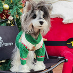 Santa Hat & Sweater for Dogs & Cats