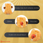 ZenPup™ Heartbeat Calming Plush — Anxiety Relief Companion for Dogs