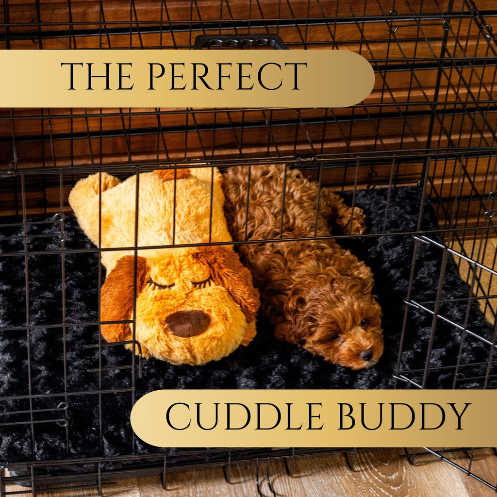 ZenPup™ Heartbeat Calming Plush — Anxiety Relief Companion for Dogs