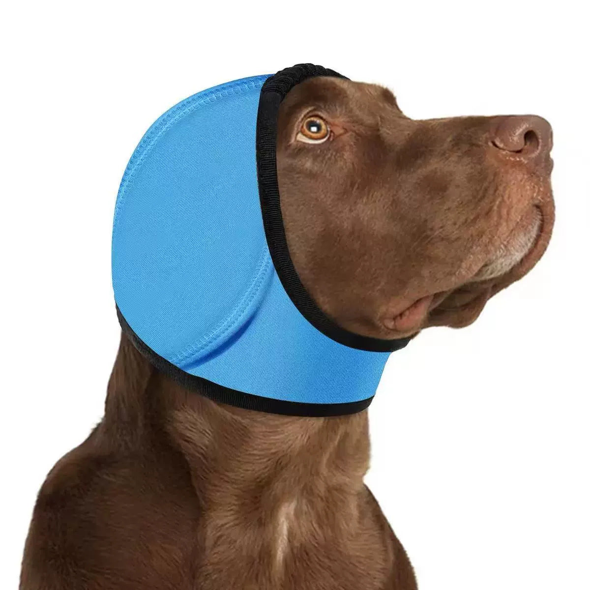 Quiet Ears Hood — Calming Wrap for Anxious Dogs